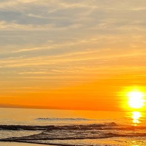 Meet your Posher, Bill